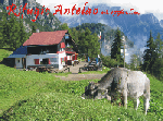 Rifugio Antelao Sella Pradonego